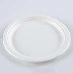 wholesale biodegradable sugarcane tableware disposable bagasse compostable paper