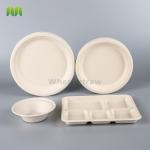 Biodegradable Compostable Paper Plates , Sugarcane Eco Friendly Disposable