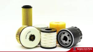 China Manufacturing Auto Parts Truck Engine Oil Filter 485gb3191 485-GB-3191 Truck Filter For Truck 5 010 550 600 factory