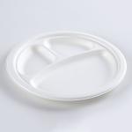10" Round 3-Compartment natural sugarcane fiber Plate