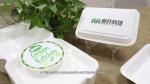 Biodegradable 6" X 6" Disposable Hamburger Box , Cake Packaging Coated Paper