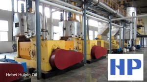 China Oil Press Press Oil Machine Sunflower seed 100TPD large capacity oil plant line factory