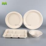 Envases Bagazo Pulp paper disposable bowls and plates