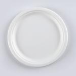 wholesale biodegradable sugarcane tableware disposable bagasse compostable paper