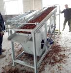 400kg/h Almond hazelnut shelling production line Almond peeling machine Almond