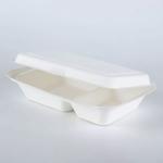 2020 Renewable Natrual fiber sugar cane burger snack dinner 2 containers food