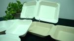 9 inches eco-friendly bagasse fiber natural snack dinner pack hinged food