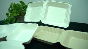 China Heavy duty Biodegradable take away large size food container bagasse packaging factory