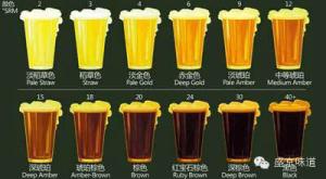 China Hotel Pub Brewing System 2000L Brew Pub Equipment For Sale factory