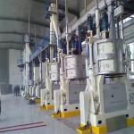 corn oil making machine