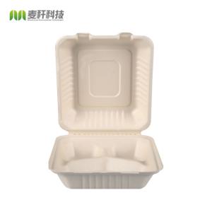 China 9 x 9 Sugarcane pulp biodegradable hinged large container on sale