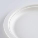 Biodegradable Snacks Sugar Steak Cane Bagasse Disposable Fast Food Plates round