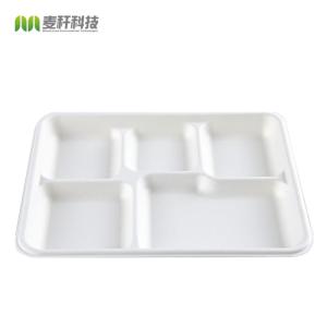 China Lunch Biodegradable Disposable Tray Compostable Sugarcane Bassage Serving Use factory