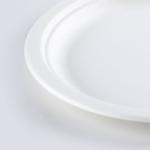 Round Disposable Plates Natural Sugarcane Bagasse Compostable Eco Friendly