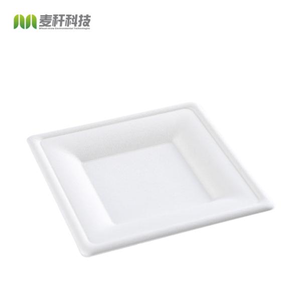 Disposable Dinnerware Set, Compostable Plant Based Cutlery Eco-Friendly
