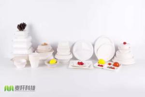 China 2020 Renewable Natrual fiber sugar cane burger snack dinner 2 containers food packaging clam shell factory