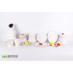China 6 Natural Disposable Plates Sugarcane Bagasse Containers Compostable Paper Plate on sale