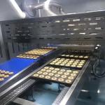 food machine cake machine Factory Supply Depanner Equipment for Bread