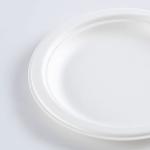 Wholesale 6 Inch Green Bagasse Pulp Biodegradable Disposable Plate For Food