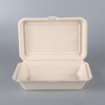 Food Packing Takeaway bagasse Pulp large dinner container box