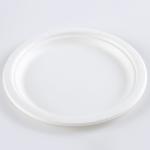 Eco-friendly Biodegradable Baggasse RoundCake Disposable Steak Round Dessert