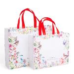 Colorful Environment Protection Nonwoven Bag