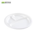 10" Round 3-Compartment natural sugarcane fiber Plate
