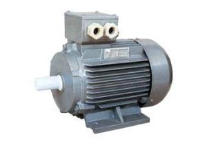 China Y2 series three phase induction motor factory