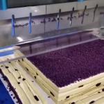 automated commercial ultrasonic for brownie toast bread slicer cutter