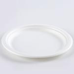 Eco-friendly Biodegradable Baggasse RoundCake Disposable Steak Round Dessert