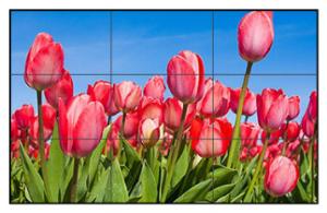 China Conference Room 240W 1920x1080 LCD Video Wall Display factory