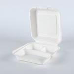 100% Biodegradable Disposable Sugarcane 1-2-3 Compartment Paper Lunch Boxes Food
