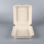 Take Out Food Sugarcane Packaging Shipping Box Biodegradable Clamshell 3