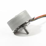 BL4525 24V 23W 45mm bldc brushless dc motor 3200RPM for Fascia Massage Gun