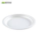 wholesale biodegradable sugarcane tableware disposable bagasse compostable paper