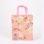 Durable Laminated Nonwoven Bag