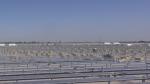 480vac 100 Kw Solar Plant Solar Power Plant Battery Storage Environmental