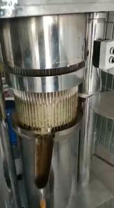 China 100Kg Per Hour Flax Sesame Walnut expeller Hydraulic oil press cold press factory