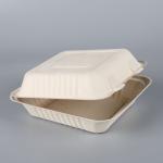 biodegradable disposable sugarcane bagasse takeaway food container packaging