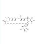 5-Amphotericin B Yellow Powder Price