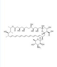 China 5-Amphotericin B Yellow Powder Price factory