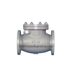 JIS F7372 5K Cast iron swing check valve
