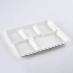 Eco Friendly 5c Biodegradable Disposable Tray Sugarcane Bagasse Products