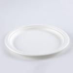 wholesale biodegradable sugarcane tableware disposable bagasse compostable paper