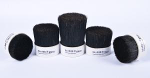 China Black boiled bristles factory