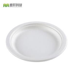 China Biodegradable Snacks Sugar Steak Cane Bagasse Disposable Fast Food Plates round square oval rectangular factory