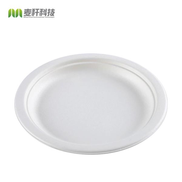 Biodegradable Snacks Sugar Steak Cane Bagasse Disposable Fast Food Plates round