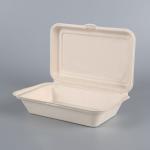 Food Packing Takeaway bagasse Pulp large dinner container box