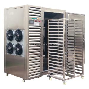 China Frozen french fries freezer dryer machine fruit meat freeze drying machine factory