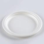 Biodegradable Snacks Sugar Steak Cane Bagasse Disposable Fast Food Plates round